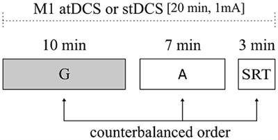 Role of Sensorimotor Cortex in Gestural-Verbal Integration